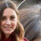 BREAKING NEWS : Princess Kate appears very different from her usual look in golden blonde hair after recovering from sickness and Revealed that she’s undergoing…. Read More