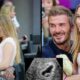 SCANDAL: David Beckham’s 17-Year-Old Daughter Harper Reportedly Pregnant – But the Real Surprise Is!